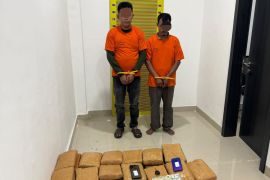 Polda Sumut ungkap 169,6 kilogram ganja di Deli Serdang