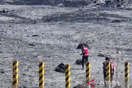 TNBTS catat area terdampak kebakaran di Bromo mencapai 520 hektare