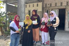 UMLA-Umsida kembangkan kebun gizi keluarga cegah stunting