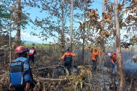 BPBD: Karhutla di Banggai Kepulauan capai 72,4 Hektare