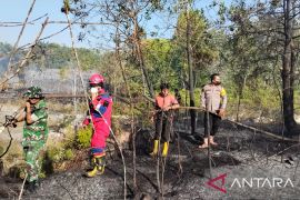 Tim gabungan padamkan 17 karhutla di Penajam selama 2026
