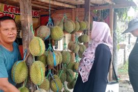 Pedagang mulai jajakan durian Badui di Rangkasbitung
