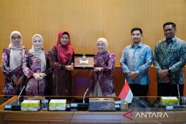 Banjarmasin jalin kemitraan dengan BBSPJIKB Yogyakarta untuk inovasi Sasirangan