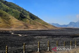 Menhut serahkan penyelidikan penyebab karhutla di Bromo kepada aparat