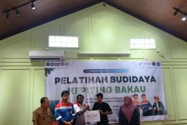 Pertamina Patra Niaga Kembangkan Budi Daya Kepiting Bakau di Tarakan