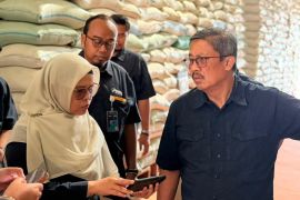 Stok beras 5,25 juta ton tersebar seluruh gudang tanah air