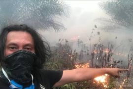 Sekber PSDH Jambi serukan sinergi penuh cegah karhutla