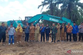 DKPP Belitung remajakan 58,3 hektare kebun sawit masyarakat
