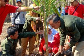 Ratusan siswa SMKN 1 Kendit Situbondo lakukan rehabilitasi hutan
