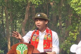 Indonesia vows action after elephant deaths in Sumatra plantations
