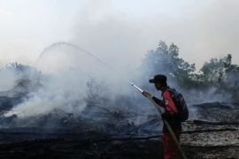 Kemenhut perkuat deteksi dini karhutla, pantau 73 hotspot di Kalsel