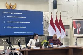 Indonesia confident on food security outlook as farm output rises