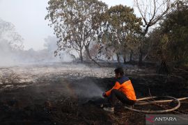 Anggota DPRD Kalbar dorong perusahaan bangun embung cegah karhutla