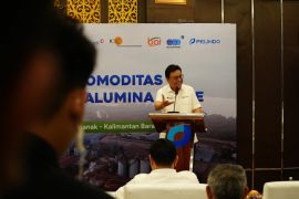 MIND ID perluas hilirisasi bauksit ke logam tanah jarang