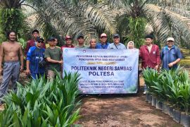 Poltesa dorong tata kelola sawit swadaya berkelanjutan di Batu Makjage