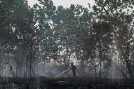 BPBD Palangka Raya tangani 177 kejadian kebakaran lahan