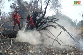 Manggala Agni Rengat baru bisa padamkan 22 Ha kebakaran lahan di Pelalawan dan Inhu
