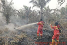 Manggala Agni Dumai dan Labuhanbatu berjibaku padamkan karhutla di Rohil dan Bengkalis