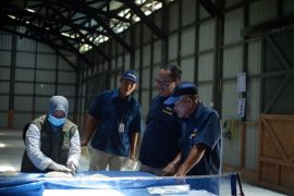Pemkab Natuna periksa mutu beras bantuan pangan
