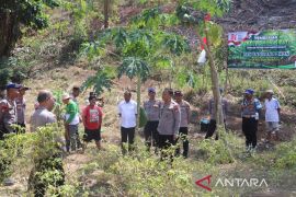 Polresta Sorong Kota bagikan 100 bibit pohon gratis di Kampung Salak