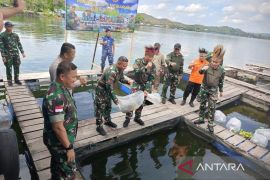 Satgas TNI Habema salurkan 2.000 bibit mujair kepada warga di Danau Sentani Jayapura