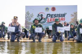 Pemkab Gresik-PT Smelting tanam 10.000 mangrove cegah abrasi
