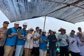 Listrik Masuk Sawah tingkatkan produktivitas petani di Lampung Timur