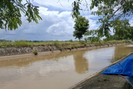 Lampung petakan kebutuhan air mitigasi dampak El Nino