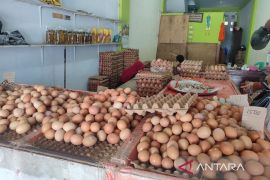 Kemenkeu: Penyaluran  KUR di Bengkulu capai Rp2,62 triliun