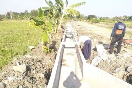 Demak dibantu irigasi di 115 lokasi untuk mendukung optimalisasi pertanian