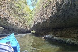 Kontribusi perahu listrik bagi kawasan wisata Rammang-Rammang