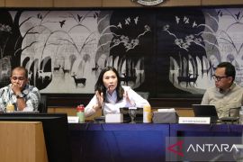 Integrated system needed to protect women, children: deputy minister