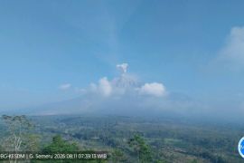 Mount Semeru&nbsp;erupts eight times, sends ash 700 meters high