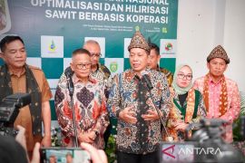Agrinas siapkan percontohan plasma sawit berbasis koperasi di Sumut