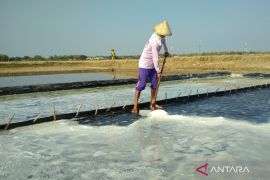 Demak tingkatkan produktivitas petani garam melalui bantuan geomembran