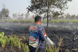 Kadishut Kalteng: Tim di lapangan terus bergerak tangani karhutla di berbagai lokasi