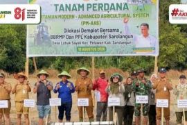 Bupati Sarolangun tanam padi perdana berbasis modern bersama BBRMP Jambi