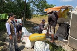 Bulog Singkawang serap 7.862,97 ton gabah petani