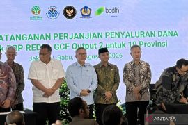BPDLH perkuat aksi iklim lewat penyaluran dana RBP REDD+ GCF Output 2