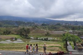 Kinerja dunia usaha di Bali menguat didorong liburan sekolah
