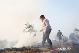 Kapolda Kalsel terjun langsung padamkan karhutla dekati pemukiman