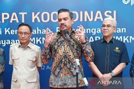Kementerian UMKM integrasikan sistem pelayanan lintas sektor