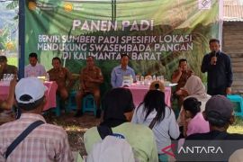 Pemkab Kubu Raya kembangkan benih spesifik lokasi untuk penguatan pangan