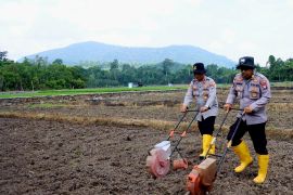 Polres Lingga dan petani garap 3,5 hektare lahan untuk jagung pipil