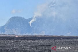 BMKG ingatkan agar waspada El Nino kuat pemicu peningkatan potensi karhutla Jatim