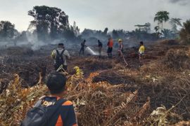 Pemkab Kobar tetapkan status tanggap darurat karhutla selama 14 hari