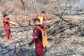 28 titik api terdeteksi di Kabupaten Tabalong