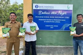 Pemkab Lingga genjot produksi sagu sebagai bahan pangan lokal serbaguna