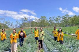 KKN Undana membantu kemandirian desa berbasis agrowisata di Ende