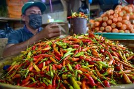 Harga pangan Kamis ini, cabai rawit Rp61.250/kg dan telur ayam Rp27.050/kg